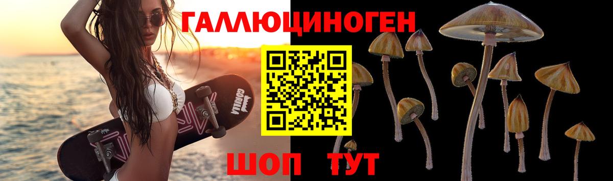 Реж  Галлюциногенные грибы мицелий  Вход с VPN 